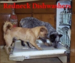 redneck-dishwashers